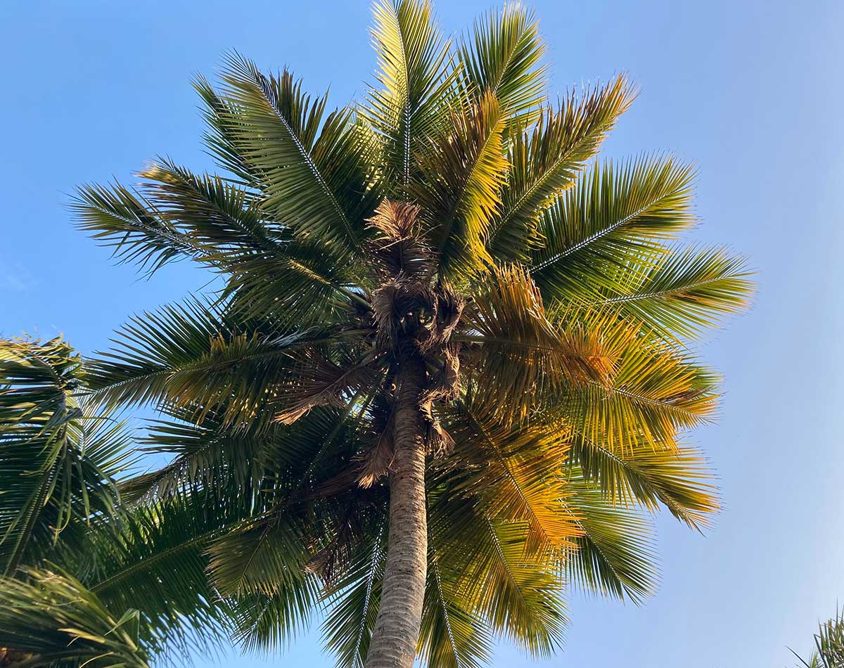 Reasons Why You Should Visit Himachal Pradesh often