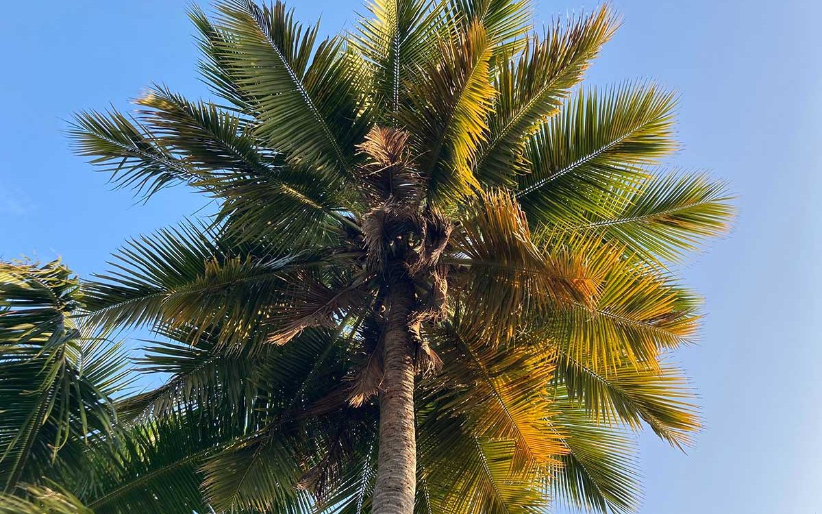 Reasons Why You Should Visit Himachal Pradesh often